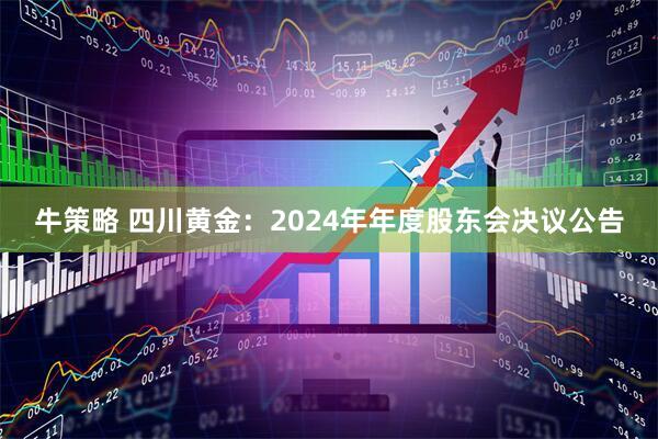 牛策略 四川黄金：2024年年度股东会决议公告