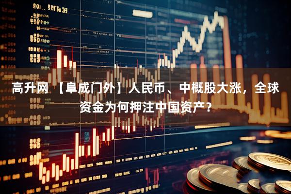 高升网 【阜成门外】人民币、中概股大涨，全球资金为何押注中国资产？