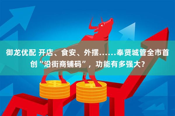 御龙优配 开店、食安、外摆……奉贤城管全市首创“沿街商铺码”，功能有多强大？