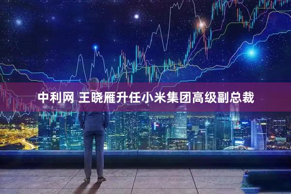 中利网 王晓雁升任小米集团高级副总裁
