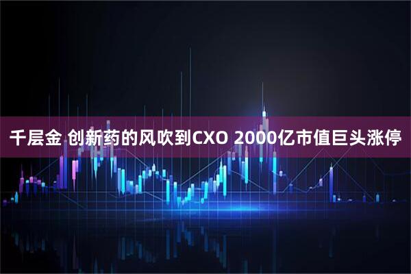 千层金 创新药的风吹到CXO 2000亿市值巨头涨停