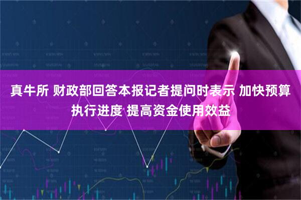 真牛所 财政部回答本报记者提问时表示 加快预算执行进度 提高资金使用效益