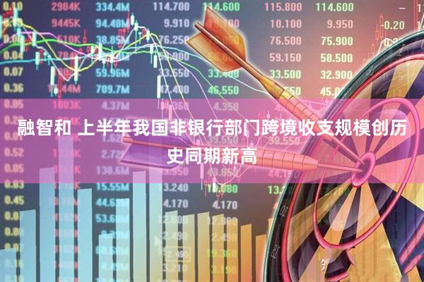 融智和 上半年我国非银行部门跨境收支规模创历史同期新高