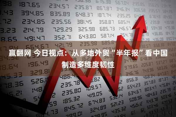 赢翻网 今日视点：从多地外贸“半年报”看中国制造多维度韧性