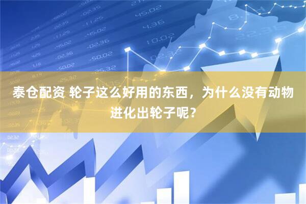 泰仓配资 轮子这么好用的东西，为什么没有动物进化出轮子呢？