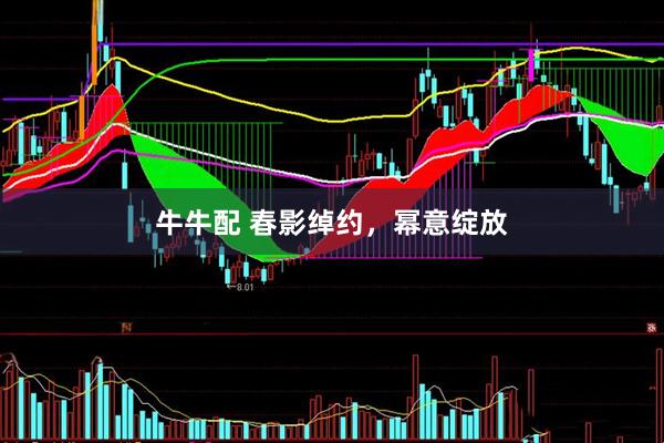 牛牛配 春影绰约，幂意绽放