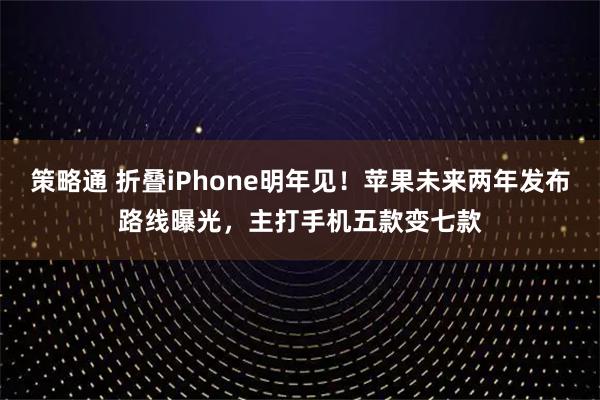策略通 折叠iPhone明年见！苹果未来两年发布路线曝光，主打手机五款变七款